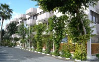   Tasiana Star Apartments APT  5