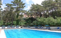   Forest Park Hotel 4*  8