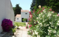   Algarve Gardens Touristic Apartments 3*  15