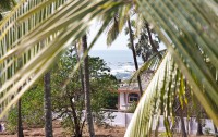   Morjim Coco Palms Resort 3*+  25