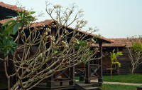   Ecowoods Village Resort & Spa 3*  14