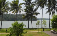   Kalari Rasayana Kollam 5*  7