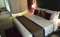   Hard Rock Hotel Goa 5*  7