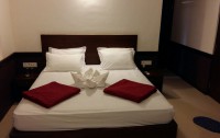 The Gulmohar Resort 3*  4