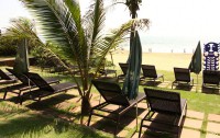   Chalston Beach Resort 3*  28