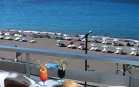   Belvedere Beach Hotel 4*  21