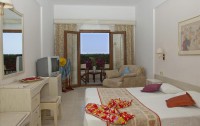 Creta Star Hotel 4*  3