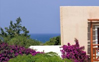   Aldemar Cretan Village 4*  20