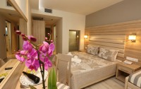   Dionysos Hotel 3*  7