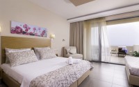 Aeolis Thassos Palace Hotel 4*  4