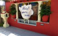   White Rose Hotel 2*  12