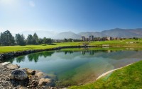   Pirin Golf Hotel & Spa 5*  37