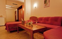   Park Hotel Ljuljak 3*  11