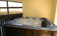 Bansko Spa & Holidays 4*  4