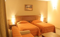   Lion Bansko 4*  7