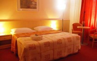   Ibis Style Maribor City Center (ex. Hotel Orel) 3*  8