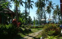   Cassia Cottage Resort 3*  27