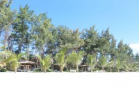   Apricot Resort (ex. Bau Mai Resort & Spa) 3*  20