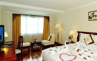   Rex Hotel 5*  6