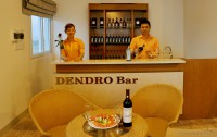   Dendro Hotel 3*  17