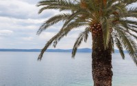   Apartments Podgora 3*  15