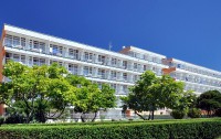   Arena Hotel Holiday 3*  1