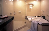   Indra Regent Hotel 4*  13