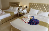   Adriatic Palace 3*  10