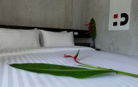   Hotel Dsure Patong 3*  13