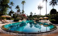   Duangjitt Resort & Spa 4*  31