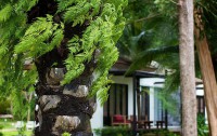   The Mangrove Panwa Phuket Resort 3*  12