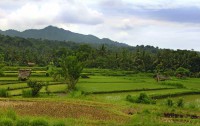 Puri Bagus Manggis 4*  3