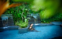   The Ritz-carlton, Bali 5*  87