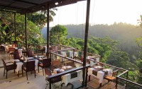   Jungle Retreat By Kupu Kupu 4*  8