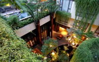 Swiss-belhotel Rain Forest (sunset Road) 4*  4