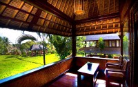   Agung Raka Resort & Villa 3*  43