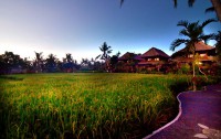   Agung Raka Resort & Villa 3*  34