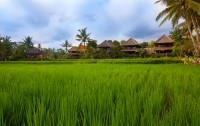   Agung Raka Resort & Villa 3*  11