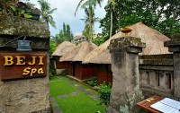   Pertiwi Resort & Spa 3*  24