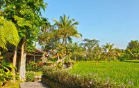   Anini Raka Resort & Spa 3*  10