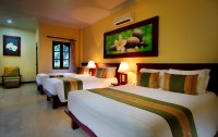   Adi Dharma Hotel 3*  22