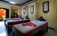   Adi Dharma Hotel 3*  16