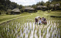   Mandapa Ritz Carlton Reserve 5*  14