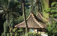   Ayung Resort Ubud 4*  31