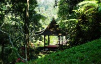   Ayung Resort Ubud 4*  12