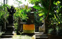   Ayung Resort Ubud 4*  11