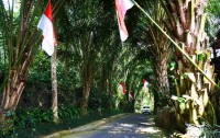   Ayung Resort Ubud 4*  10