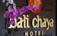   Bali Chaya Hotel 3*  11