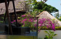   The Samata Sanur Bali 4*  49