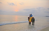   Bintan Lagoon Resort  5*  31